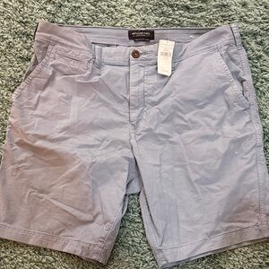 American Eagle Outfitters Men's Light blue Shorts